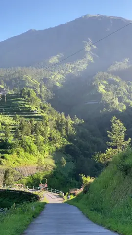 Hiling ke tol kahyangan pas dapat cerah.. 📌negerikahyangan surodadi wonolelo sawangan magelang #wisataalam #negerikahyanganmagelang #negerikahyangan #tolkahyangan #tolkahyanganmagelang #wisatapegunungan #fypage #wisataviral #wisataindonesia #dolan #ayodolan #magelangraya #viewalam #vibes2023 #wisatajogjahits #nitizen #tiktokfy #alamsemesta #merbabu #gunungmerbabu #viewmerbabu #jogjajateng #magelangku #magelang_oye #magelanghits #magelangexplore #magelanghitz #magelang24jamfyp #magelangpunyacerita #magelangkotasejutabunga 