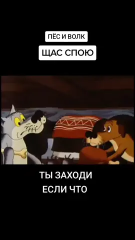 #пёс и волк#щас спою😂#ты заходи если что👍😂