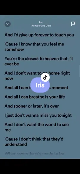 Iris🎶 #lyrics #spotify #kantakamuna🎤🎶 #oooooomerr_ #fyp 