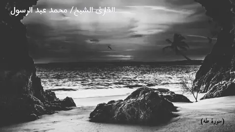 ايات من سوره طه بصوت القارئ الشيخ محمد عبد الرسول العوامي 