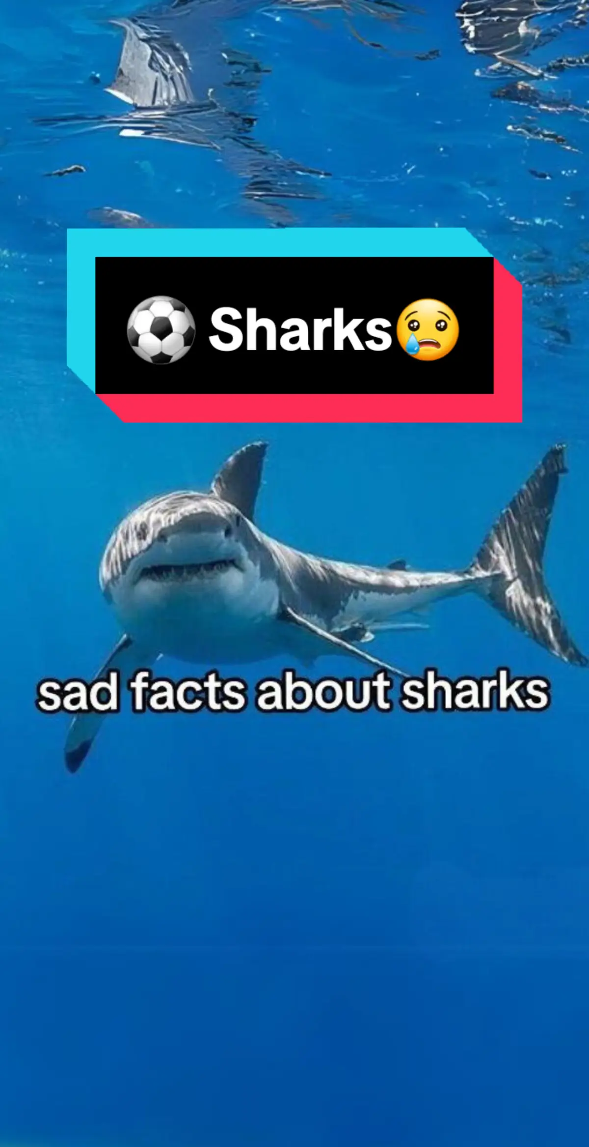 F's in the chat for all the fellow sharks out there 😢 #unisportlife 