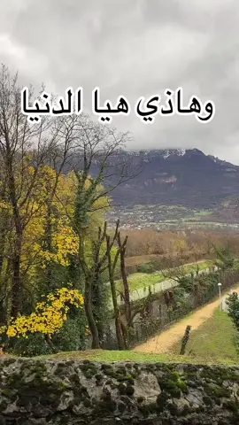 #وهاذي_هيا_الدنيا #nature #InspirationByWords #foryou #fyp #trendtiktok #explore #اكسبلور 