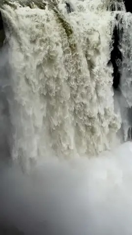 📍Snoqualmie Falls, Washington Last week, constant rainfall in Washington turned most rivers in a flood like condition. This also made the Snoqualmi  falls overflowing with water!  Don't forget to see Snoqualmie falls in this unique condition if you are in the area.  #visitseattle #pnwadventures #snoqualmiefalls #stateofwashington #upperleftusa 