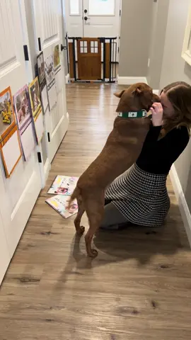 We is running out of Decembers (and space on dis wall). Don’t forget a portion of every calendar goes directly to The Pixel Fund! 🐕🤎