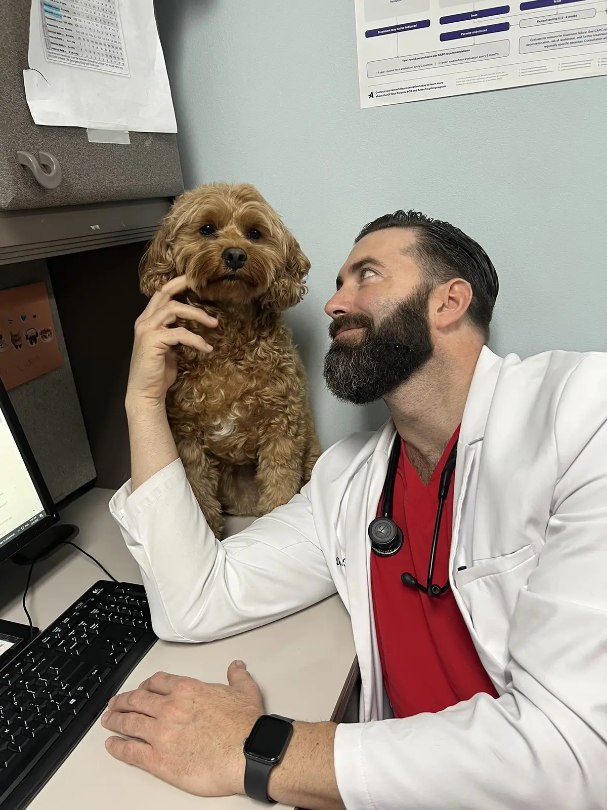 Spending time with my patients😀 #drtom #veterinariansoftiktok #veterinarian #fyp #foryou #dog #dogsoftiktok #catsoftiktok #kittensoftiktok 