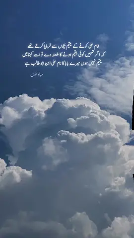 امام علی کوفے کے یتیم بچوں سے فرمایا کرتے تھے کہ اگر تمہیں کوئی یتیم ہونے کا طعنہ دے تو اسے کہنامیں یتیم نہیں ہوں میرے بابا کا نام علی ابن ابو طالب ہے #foryourpage #fypシ #fyp #foryou #foryoupage #urdupoetry #trending 