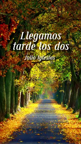 Llegamos tarde los dos - Julio Iglesias #musicaparati #julioiglesias #llegamostardelosdos #musicaromanticas #exitosinolvidables #recuerdosmusicales #exitosinolvidables 