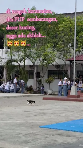 #pup  #kucingpup  #kucingbandel  #beol  #😀 #wkwkwk 
