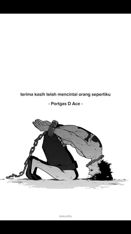 terimakasih. #ace #onepiece #fyp 