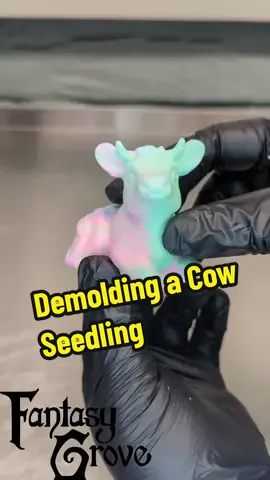 Its about time we introduce our seedlings a bit more here. These little silicone squishes are made of the same silicone as our adult toys, but please don't use them the same way 😆 These desk buddies can be used as stim or fidget toys, stress balls, collectables, they're just little guys who want to hang out with you! Seedlings can be found under our merch section and are restocked during our preshop. Which by the way, is tonight at 7pm Eastern, with the inventory drop being at 8 tonight! #furry #silicone #functionalart #fantasygrove #monsterfudgers #cow 