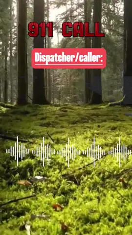 #911 #911calls #911audio #real911audio #fyp 