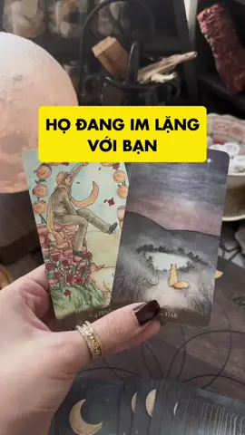 Nếu họ đang im lặng với bạn thì đây chính là thông điệp dành cho bạn #tarot #duongtarot #manifest #tarotviral #tarotbyduong #thongdiep #LearnOnTikTok #fypシ 