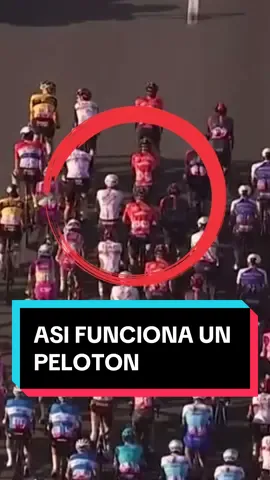 Asi funciona un peloton. 