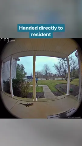 Delivery driver having fun on the job 🤣 (🎥: u/jojo_fio) #delivery #deliverydriver #ring #caughtonring #videodoorbell #doorbell #fedex #amazondelivery #ringdoorbell #ringdoorbellfails #ringdoorbellclips #caughtoncamera #amazondeliverydriver #amazon #securitycamera 