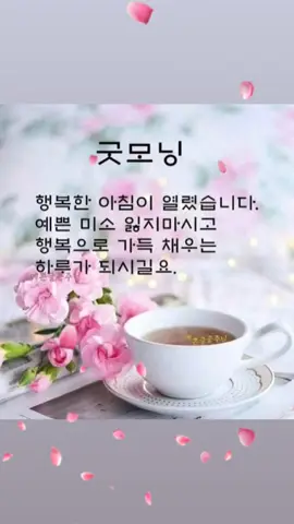 #새날#감사 #오늘도건강하고 즐거운일들만 가득한 행복한 하루 보내세요 ~♡♡♡
