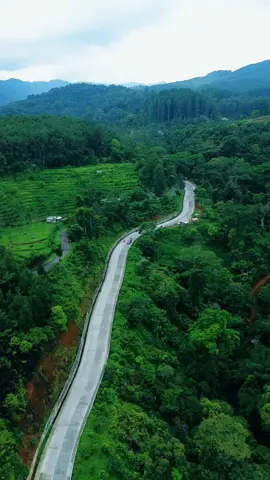 Beautiful view in the street 📍Jl.Linggo asri menuju Paninggaran, Kab. Pekalongan, Jawa Tengah #explorepekalongan #explorelinggo #exploredieng #explorebanjarnegara #wonderfulindonesia #pesonaindonesia #explorebatang #explorejateng #beautiful #view #forest #street #dronevideo #dronepilot #droneview #linggoasri #indonesia #videography #reels #reelsvideo #fyp 