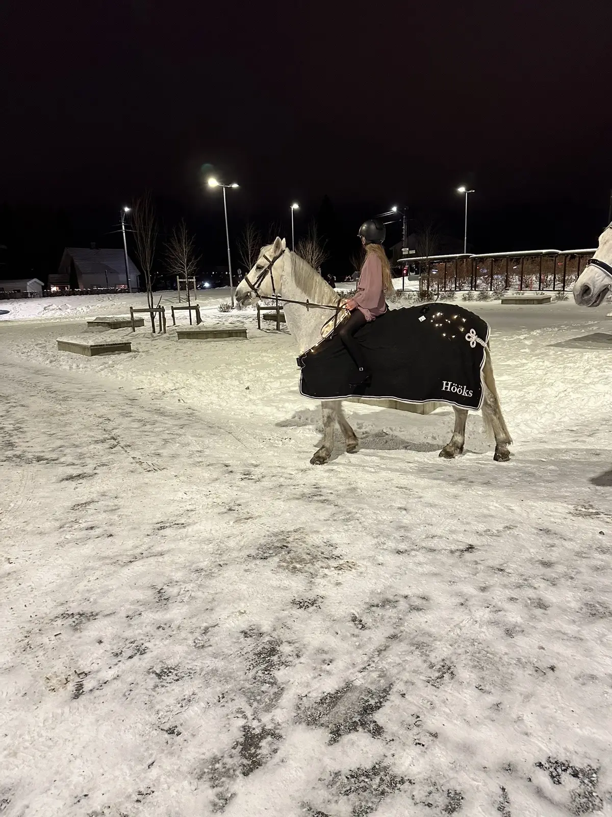 I dag ridde vi til juleballet 🤩 #ballytarsnaprince #winter #christmasball 