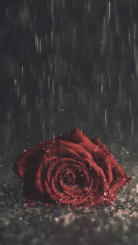 Guns N' Roses - Don't Cry #gunsnroses #dontcry #musicadelos80y90 #musica