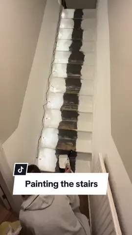 Are you team leave the centre or paint the whole thing?! #stairlights #stairlighting #staircase #staircasemakeover #reno #renovation #diylighting #homediy #DIY #homereno #stair #runner #carpet #design #inspo #interior 