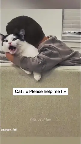 Funny kids trying to play with cats 😂 | Comment your best moment 😊 #Cat #Pets #Catoftiktok #PetsOfTikTok #Cutecat #Kids #Cutebaby #Baby #Fyp #Foryou #Viral #Usa #Unitedstates 