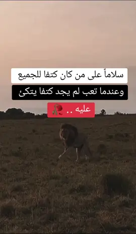 سلاماً على من كان كتفا للجميع وعندما تعب لم يجد كتفا يتكئ عليه.. 🥀@اوتار الحزن✪ 