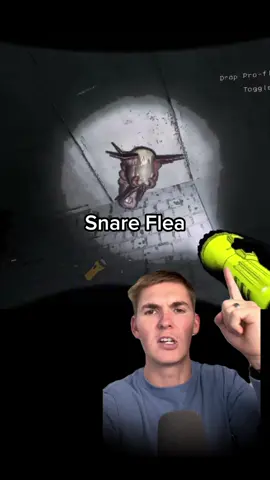 Snare Flea from Lethal Company Explained