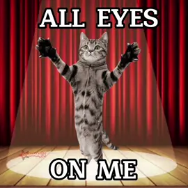 DIOS ya se me estaba muriendo la cuenta por falta de contenido, 2 meses me tarde en esta wbada 😿 || #VannaYT #cats #gato #meme #animation #memeanimation #alleyesonme #or3o #sans 