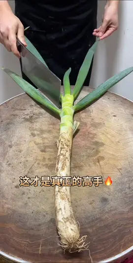 快手_172