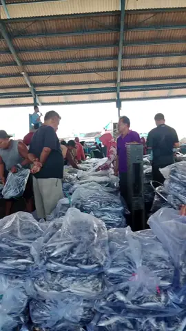 tempat lelang ikan TPI juwana siap redy