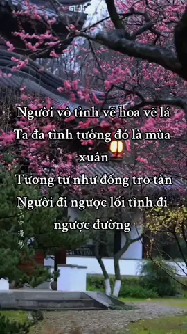Yêu đơn phương chỉ dành cho kẻ si tình  #thobuon #tamtrangbuon #buon #tamtrangcamxuc 