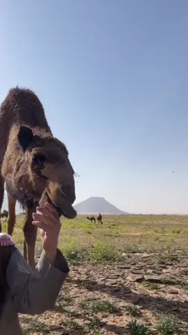 شمعة زماني .. عسى الله ما يطفيها♥️