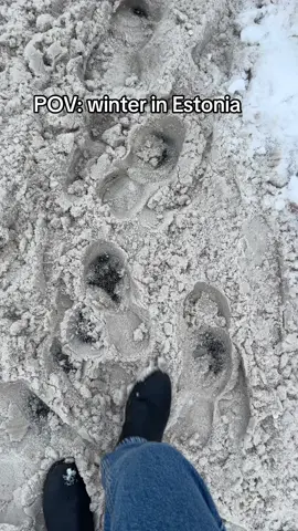 #winter #viral #fyp #eesti 