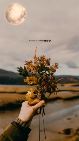 zindagi arzoan e jahan💙#heartouchingline😢💔 #deepfeelings🥺🙃 #viralvideo #layseverywhere #khowarsong #foryourpage 