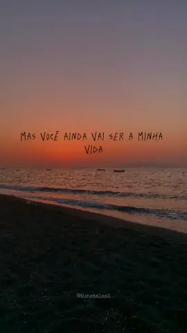 . #outravida_armandinho #fyp #legendasbr #statusdemusicas #lyrics #viral 