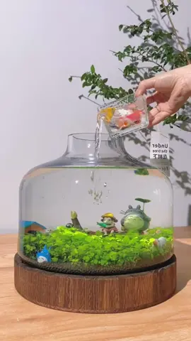 Ecological circulatory system, do you want one?#foryou #foryoupage #aquariums #fishtoks 