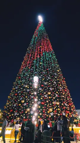 Spectacular Christmas Tree 2023 39 meters in height || The biggest Xmas tree in Dubai || #christmastree #christmaslighting #alseef #dubailife #mydubai #wanderer #touristattraction 