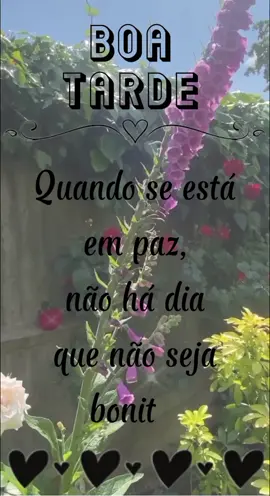 #CapCut #boatarde #agro #sertanejo #Motivacional #music #sejafeliz #featureme #tiktok #2023 #foryou 