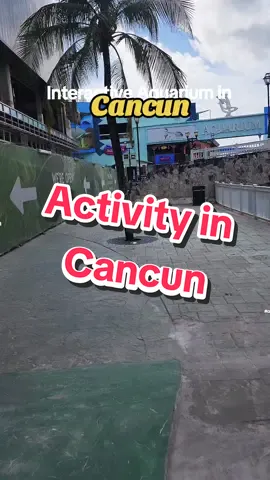 Activity alert: Discovering Cancun's interactive aquarium 🐟🌊 #interactiveaquarium #cancunseatrek #ThingsToDoInCancun #Mexico #cancundolphins #coupleexcursionscancun #mallcancun #cancunbestattractions #cancunactivitiesforblackpeople #cancunactivitiesblackgirl #funexcursionsincancun #thingstoavoidincancun #blacknightlifeincancun #thingstodoincancun #Cheapactivitiescancun