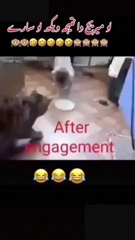 #funnyvedeo😆😆🤣🤣🤣🤣 