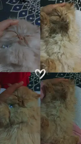 ❤️❤️😍