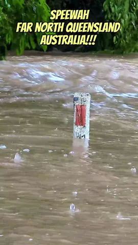 It's a bit wet in Far North Queensland after Cyclone Jasper!!!!🌧️🌴 We have a serious amount of rain dropping at the moment!!!! Way over a meter in the last few days and today it is increasing! 😲😲😲 @vintagefoodfarm #vintagefoodfarm #cyclone #jasper #rain #floods #flooding #rivers #farnorthqueensland #fnq #cairns #mossmon #daintree #weather #event #unbelievable #scary #dangerous #takecare #queensland #australia #raining #floodedin #nopower #nophone #biblical #cyclonejasper #floodwarning