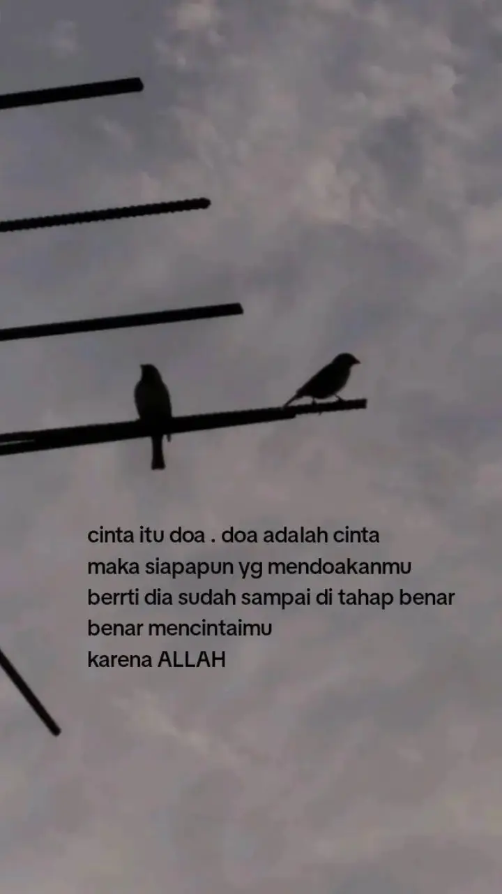 simpan lah namanya dalam doa di setiap sujud mu, meskipun tidak terdengar di bumi tapi menggema di langit ...😊😊😊 #fyp #fypシ #india #bollywoodsong #katakata #vidioviral #kataislami #santri 