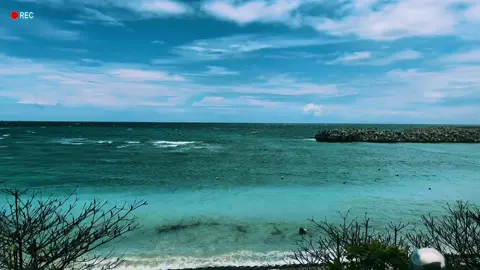 Mê cái đoạn này 🥰 #tacudicungnhau #phuquyisland #denvau #outro 