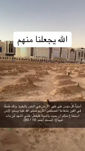 #البقيع #مقبرة #بقيع_الغرقد #المدينة_المنورة♥️🌴 #oops_alhamdulelah #المدينة_المنورة #الحمدلله_دائماً_وابداً #medina #madina #♥️ #💔 #❤️❤️ #❤️ #المدينة #نعمة #يارب #نكون #منهم 