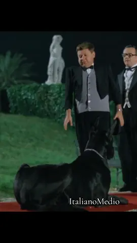 Si Chiamava Ivan Il Terribile Trentaduesimo... #alano #bestdogever #bestdogontiktok #semenzana #paolovillaggio❤️ #paolovillaggio90anni #paolovillaggiofan #paolovillaggio #fantozziugo #fantozziofficial #fantozziforever #fantozzi #film80s #ilsecondotragicofantozzi #silvani #signorinasilvani #annamazzamauro #calboni #barefootcontessa 