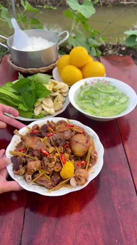 Món ăn miền quê vịt cò kho gừng @tranvantrang98 #trangmientay #tranvantrang