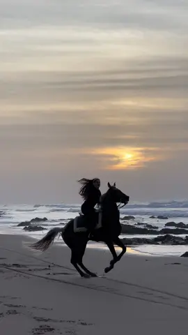 My fovorite guy in the world 🤎                         #fyp #foryoupage #horsesoftiktok #caballostiktok #horselovers #horseriding #horsegirl #traveltiktok #horses #horseriders #horsetok #horsetiktok #horsetiktokforyourpage #parati #sunsetbeach #maroc #moroc #morocco🇲🇦🇲🇦 