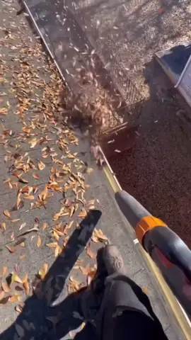 Very satisfying gutta cleaning 😮‍💨 #oddlysatisfying #satisfying #satisfyingvideo #fyp #guttercleaning 