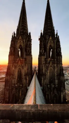 Köln ❤️🤍 #köln #kölnerdom #cologne #cathedral #sunset #viralditiktok #fürdich #pov #köln50667 #domdach #ontop #kirche 