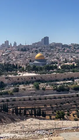 Standing at the Mount of Olives, with the  beautiful view of Al Aqsa. I pray we all get to see this view one day when Palestine is liberated Insha’Allah! #freepalestine #palestine #alaqsa #masjidalaqsa